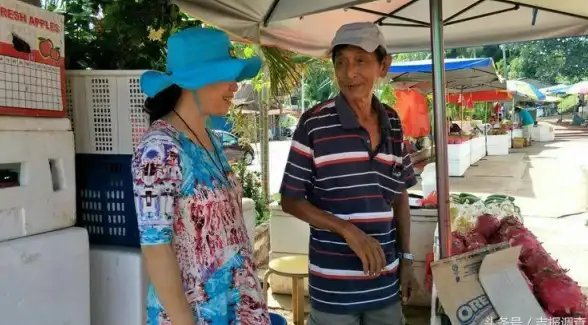 🔥干货满满🔥必看攻略🔥丰收之路马六甲工厂任务全解析+高效通关秘籍！