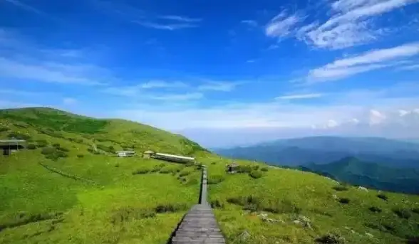 🔥隐藏彩蛋🔥秘境探险🔥魔兽世界飘渺的希望任务隐藏奖励全攻略！