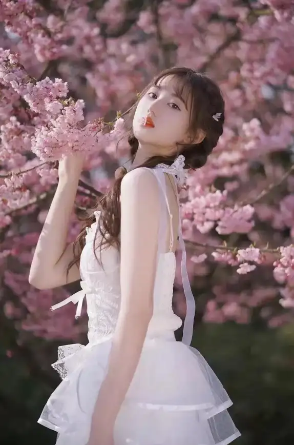 🌸热门攻略🌸和平精英🌸完整版｜7颗樱花树精准位置大全揭秘！