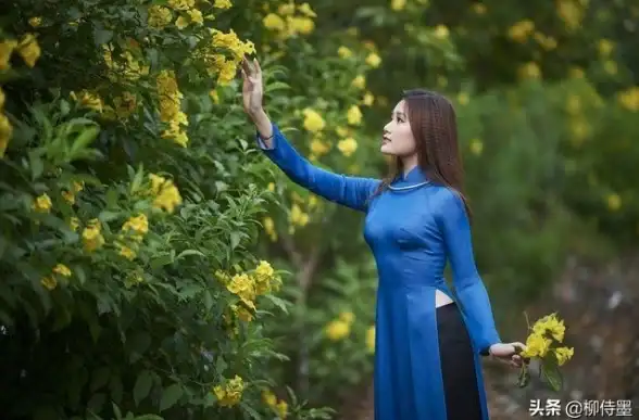 拍摄高手｜电脑图片拍照秘诀大公开！摄影师必学实用指南—技巧深析】