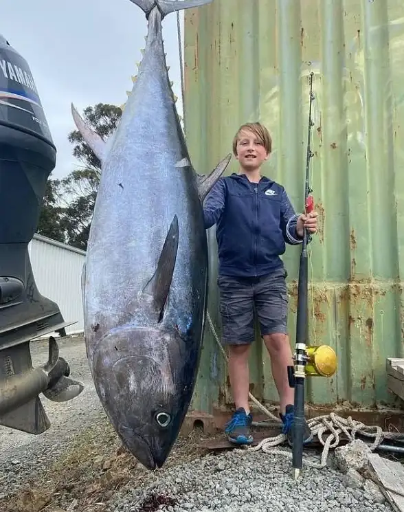 钓鱼攻略🎣极致技巧与洛奇英雄传常见问题全解析