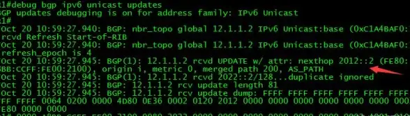 云主机,IPv6接入-多线BGP云主机支持IPv6接入吗