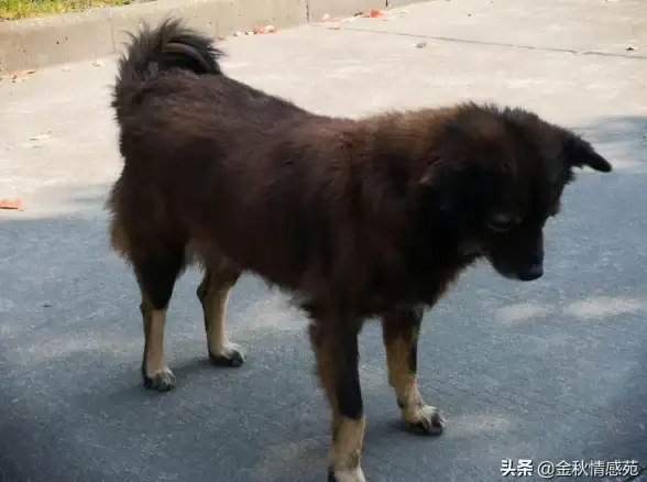 抵抗力升级｜心理揭秘：诱惑深意解读与自律养成技巧｜心理健康宝典