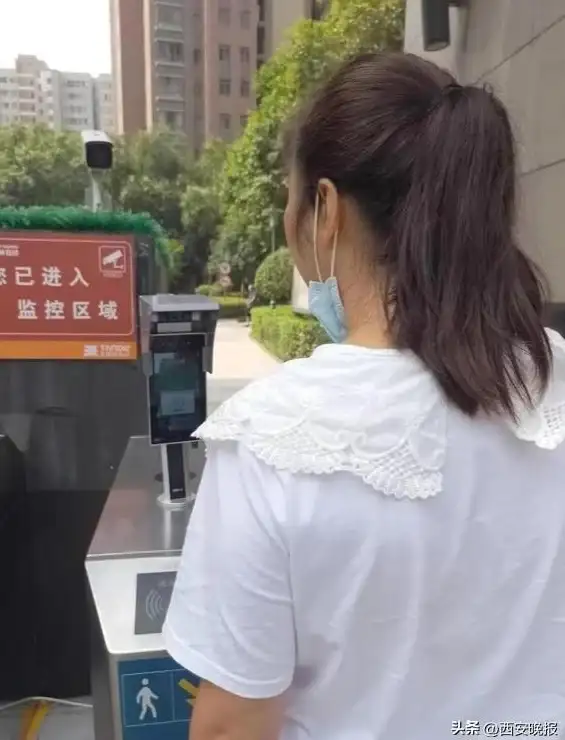 安全防护必备｜网页密码设置技巧｜前端合规保障，轻松构筑数据防线】聚焦一键加密核心方法