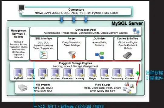 数据库|存储过程：MySQL存储过程与数据库之间的关系解析