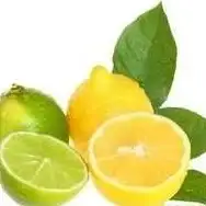 生活记录🍋柠檬视频 见证点滴时光，品味人生百态
