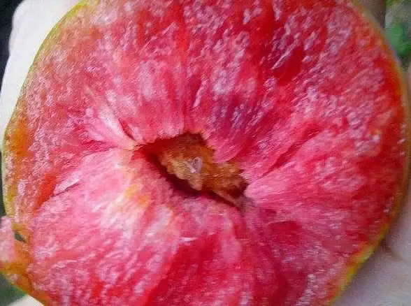 水果🍏苹果查询：探索不同品种、原产地及其健康益处