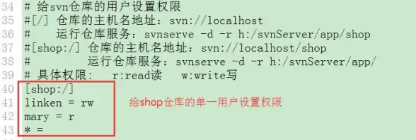 实用干货—提升协作效率★SVN权限分配全攻略｜团队管理必备
