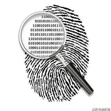 数据库|数据管理|SQL Server一年发展报告：sqlserver一年内的发展分析