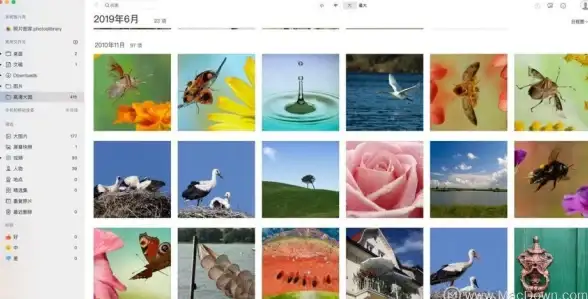 压缩包📁Win11压缩文件打不开怎么办？详解原因与修复方法