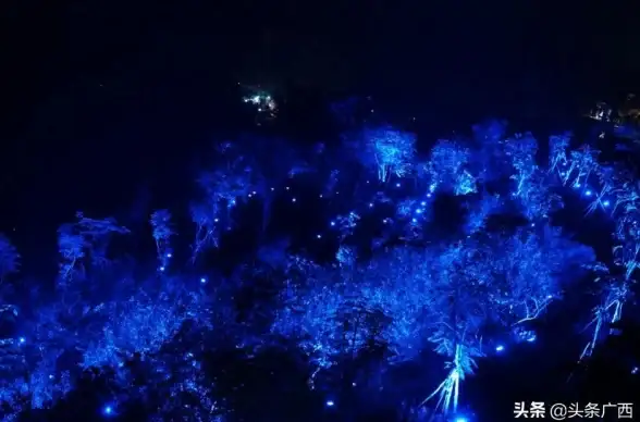 实用指南｜夜趣APP新玩法亮眼揭秘—功能升级与安全下载必读【应用速览】