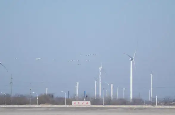 云计算 IT职业转型 你有云技能吗？云计算时代的IT职业大迁徙
