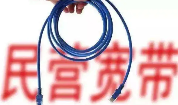 数据中心,网络接入-北京鹏博士机房带宽类型及接入方式分析