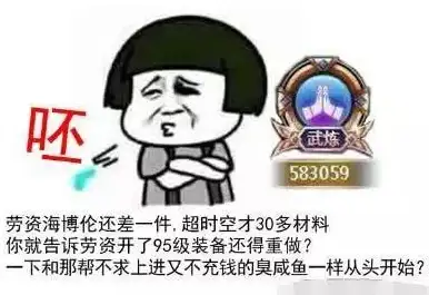 宠物装备💎实用耐用提升战力，DNF宠物装备好看吗？