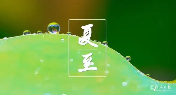 服务器租用,高性能-辽宁沈阳服务器租用，宵云网络打造高速在线体验