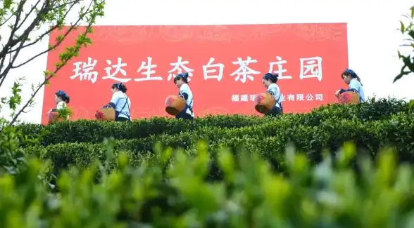 攻略分享🍵传奇斗茶活动称号推荐与实用指南