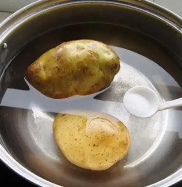 免费视频下载指南｜土豆视频怎么下载？教你轻松保存免费视频的方法与步骤
