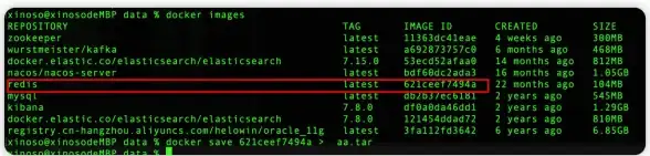 Redis 镜像路径 Redis镜像之旅探索它的存储路径，redis镜像路径详解