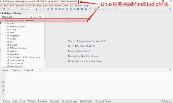 养殖攻略｜设施升级｜高效养鸡全解析：星露谷物语》鸡舍进阶指南