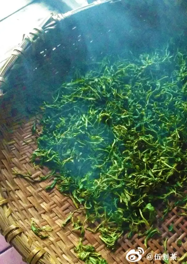 游戏秘技🔥忍者必须死3探宝碎片快速高效收集全面攻略