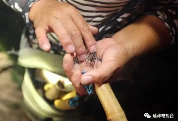 高可用性,带宽资源-棉花云新乡节点高可用性及带宽资源解析