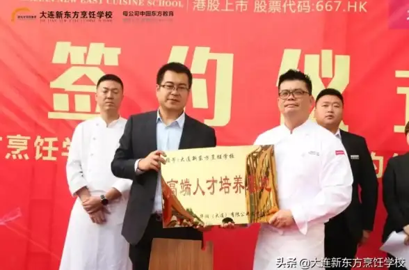 角色解析🔥DNF手游菲尼克斯属性全解及顶级技能搭配推荐