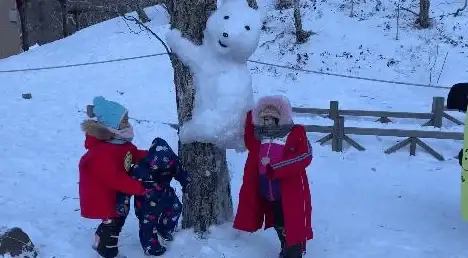 冒险🔥攻略🔥详解 元梦之星冰雪奇妙旅行全玩法揭秘