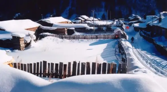 冒险🔥攻略🔥详解 元梦之星冰雪奇妙旅行全玩法揭秘