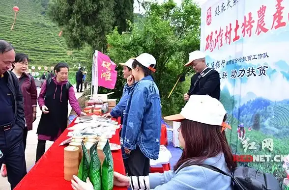 CDN基础设施,多网互联-湖南怀化CDN核心节点多网互联概况