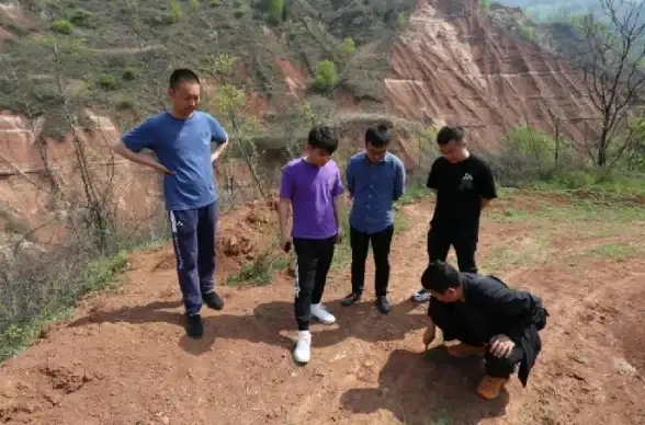 QQ游戏 玩转QQ农场：教你快速升级，提高农场效率收获满满惊喜