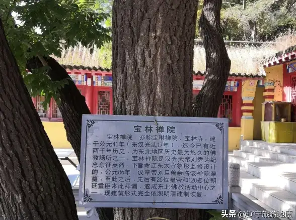语言认知聚焦｜深扒“旦”字读音真相，澄清热门误区！教育提要】