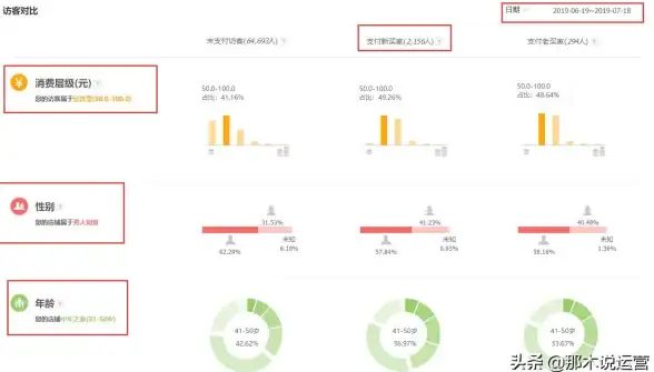 电商运营洞察｜流量增长秘籍！独立访客监测助力转化与活跃率提升【行业深度】
