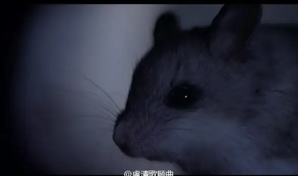 悬疑✦解密✦推理｜犯罪现场清洁工》第六章全流程深度解析与隐秘线索揭秘