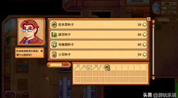 情感💖贴心 家庭星露谷物语最体贴妻子排行榜揭晓