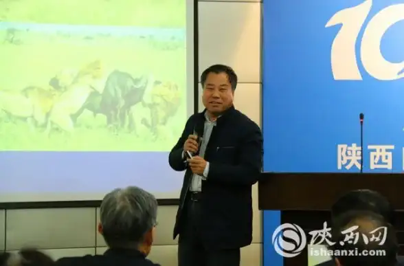 游戏攻略🔥真三国无双起源大山刚破掌技能实用心得分享