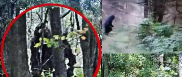 角色揭秘◆怪物猎人◆长发魅力怪物猎人中拥有特别长头发的角色是谁？设定深度解析！