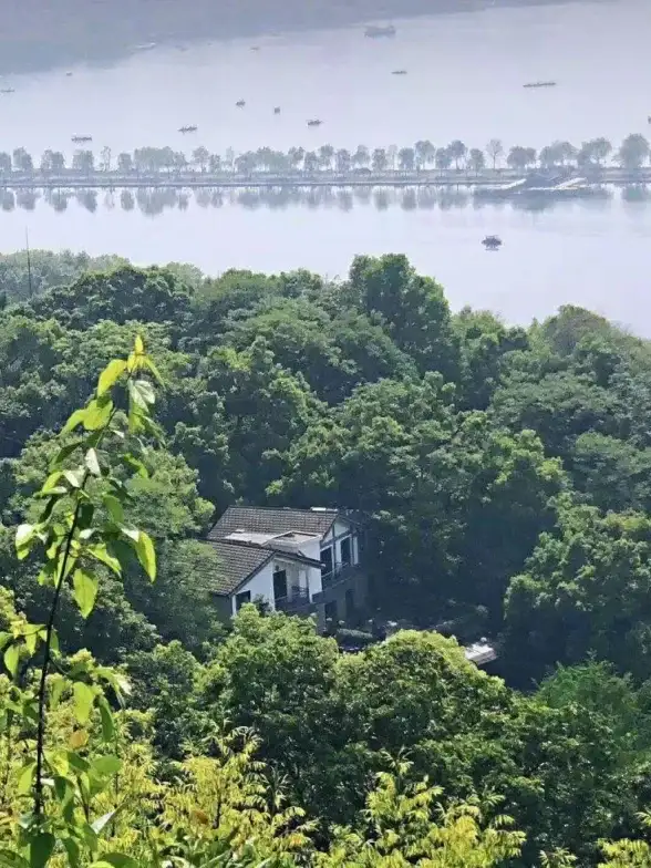 🔥绝佳搭配 全面解析 卿云之上仙侍三千羽技能战斗秘密