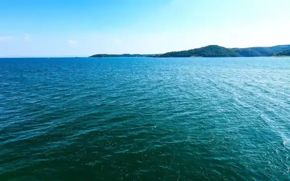 渔获🎣高效攻略🎯星露谷物语鱼塘鱼王速成指南