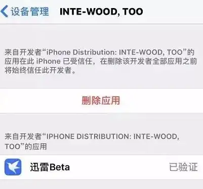 必备｜迅雷批量高速下载全攻略—安全省心看片指南 影视资源宝典◎
