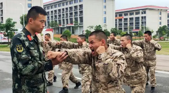 技巧＋高效种子筛选｜迅雷提速秘籍【下载优化爆料】提升下载速度的新方法揭秘