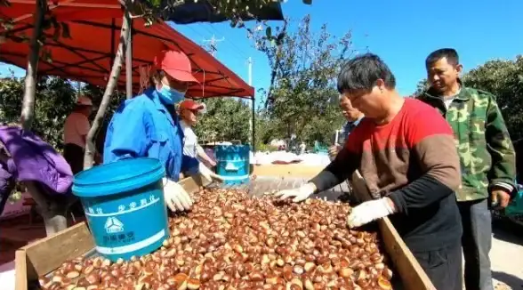游戏攻略🎯新手必看 丰收之路 入门详细攻略 助你轻松通关