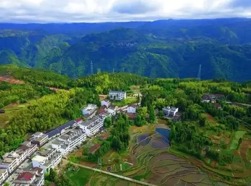攻略📌全攻略 游戏秘籍 王蓝莓的幸福生活第二部32关完美通关指南
