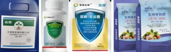 环境监控,安全防护-棉花云武汉机房环境监控与安全防护解析