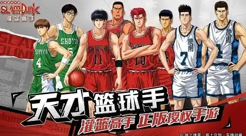 海外服务器,日本机房-海外服务器租用，日本机房流量计费模式分析