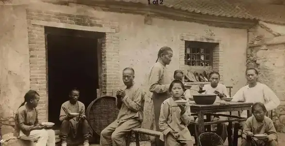 策略指南★深度解析★0氪必看 无尽冬日角色对比及最强团队阵容推荐