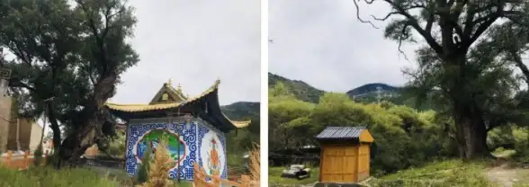 旅游必看◆身份认证◆速成秘籍 如何快速拿下马蜂窝创作者认证！