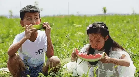有趣的消西瓜游戏推荐2025免费合集