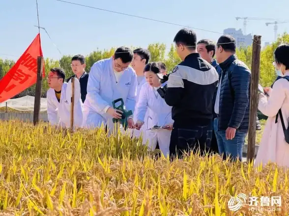 🌟攻略秘籍🌟难度升级🌟植物大战僵尸杂交版挑战39关特殊僵尸最全应对技巧详解