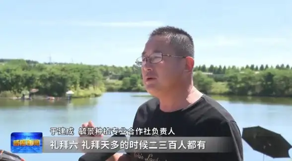 游戏🌟攻略🌟秘籍 梦想家园种植工坊极速升级全攻略