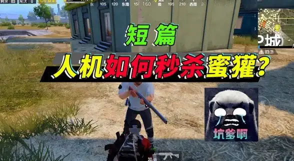 选服技巧｜高效上分攻略—游戏热点】热门云服务器推荐与和平精英挂机选择指南